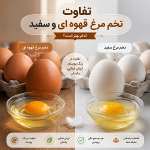 تفاوت تخم مرغ سفید و قهوه ای