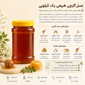 عسل گارچی طبیعی یک کیلویی